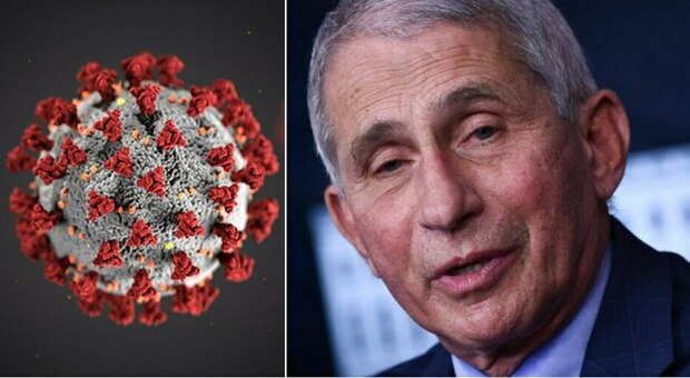 Covid, Fauci: «Non sono convinto dell'origine naturale del virus»