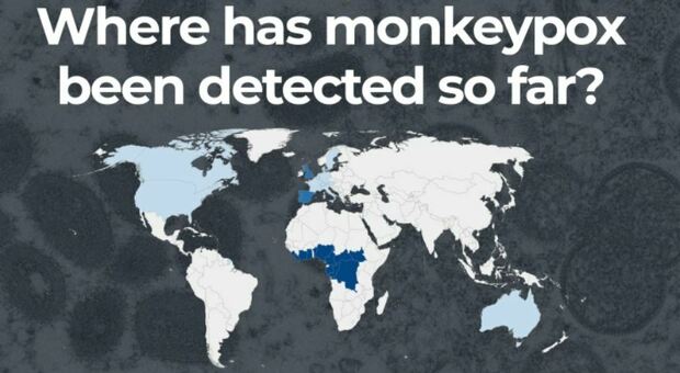 Vaiolo delle scimmie dove si trova: tutti i casi in Europa. La mappa del contagio
