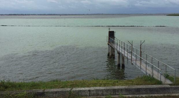 Lagune del delta a rischio per il mancato ricambio di acqua di mare