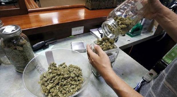 La villa della droga, casalinga arrestata: aveva 18 chili di cannabis