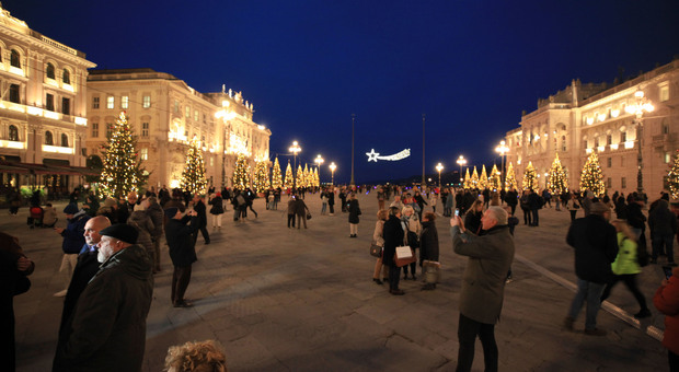 Accese le luci del Natale in centro città: 24 abeti illuminati in piazza