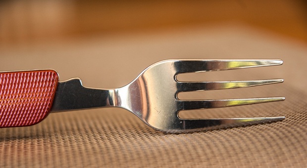 Ustiona il figlio con una forchetta incandescente per punirlo: denunciato e allontanato da casa (Foto di jacqueline macou da Pixabay)