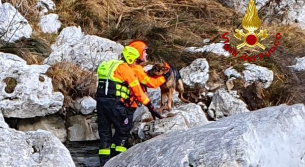Cucciolo di pastore tedesco salvato dai pompieri