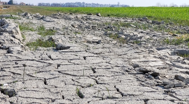 I terreni sono aridi a causa della siccità
