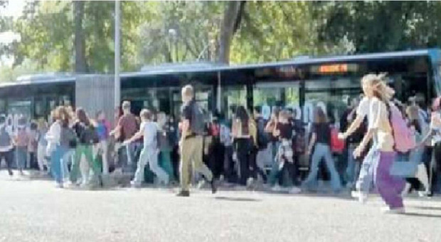 Caos a Treviso per prendere i bus navette, ressa di studenti in attesa