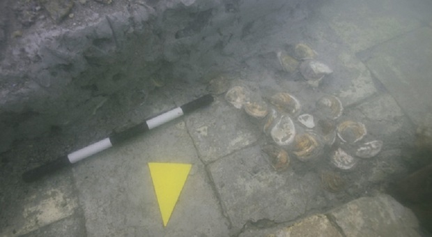 Venezia, scoperto un allevamento di ostriche di oltre 2000 anni fa: «Incredibilmente intatte»