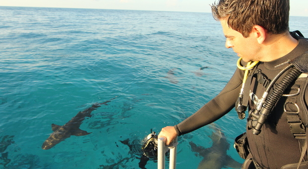 Cinema, Eli Roth a Ischia, la sua battaglia per gli squali: il regista cult Usa premiato