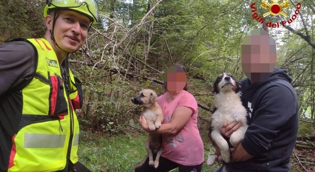 I due cuccioli salvati dai vigili del fuoco