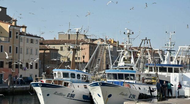 Preoccupazione tra i pescatori chioggiotti per le incursioni dei colleghi croati