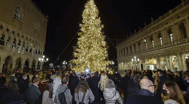 Il grande albero acceso in piazza San Marco