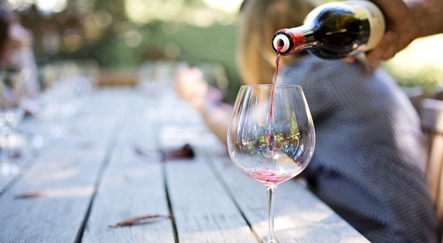 I virologi dissertano sul vino - Foto di Jill Wellington da Pixabay
