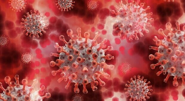 «Anticorpi monoclonali possono prevenire morti e ricoveri», due studi ne provano l'efficacia contro il Covid