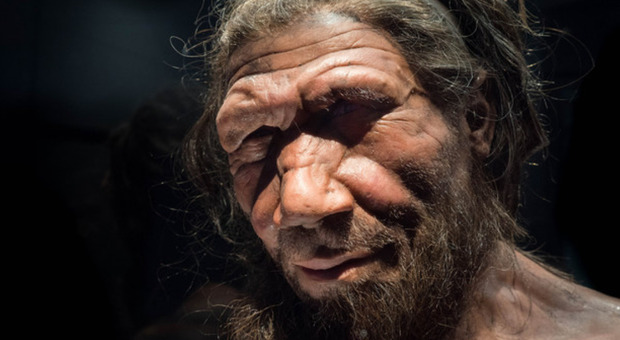 Covid, il gene che aumenta la mortalità «nato da un rapporto intimo fra un Neanderthal e un Sapiens»