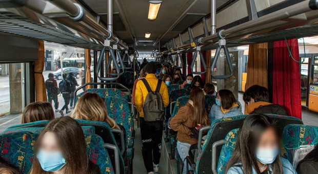 Autisti dei bus aggrediti, preoccupante il bilancio di Treviso