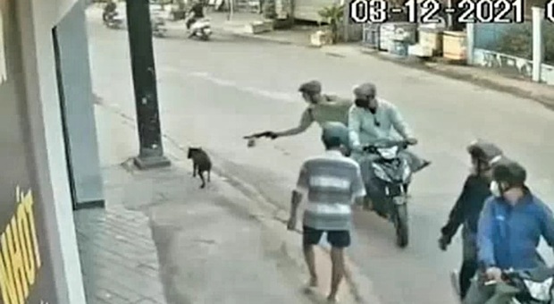 Sparano al cane per strada e lo rapiscono sotto gli occhi del proprietario per rivenderlo al macello (Immagini diffuse dal quotidiano vietnamita Baomoi)