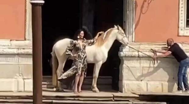 Un cavallo e una modella spuntano a Palazzo Pisani Moretta