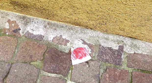 Pezzi di carne sospetti trovati per strada: scatta l'allarme bocconi avvelenati a Canaro