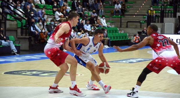 Nutribullet Treviso Basket in pieno mercato sottolinea che gli italiani sono troppo costosi