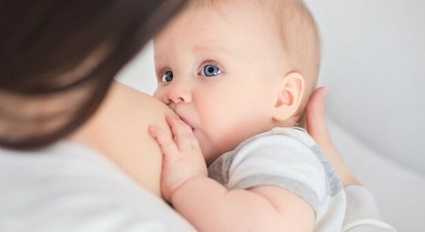 Covid, l'Oms: «Le madri positive continuino ad allattare al seno i figli»