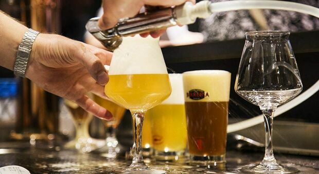 Anche un solo drink al giorno può ridurre la capacità del cervello: con una birra l'intelletto invecchia di 2 anni