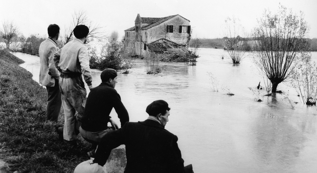 Polesine, l'alluvione del 1951