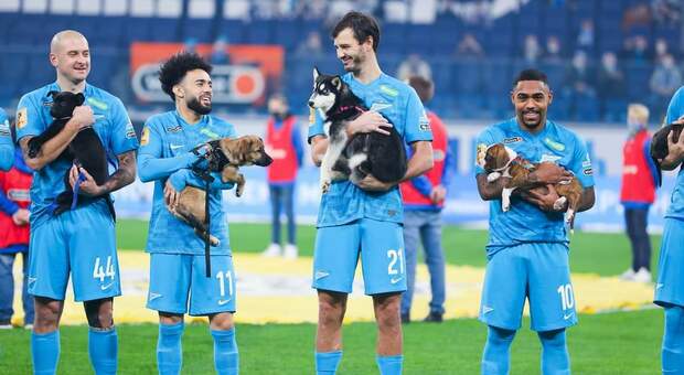I giocatori dello Zenit in campo con i cuccioli. (Immag diffusa dalla pagina social dello Zenit San Pietroburgo)