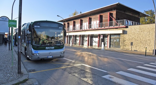 Autobus della Mom a Treviso