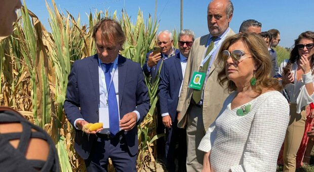 Siccità. Casellati in Polesine: «Il granaio del Veneto, bisogna evitare che diventi il deserto economico»