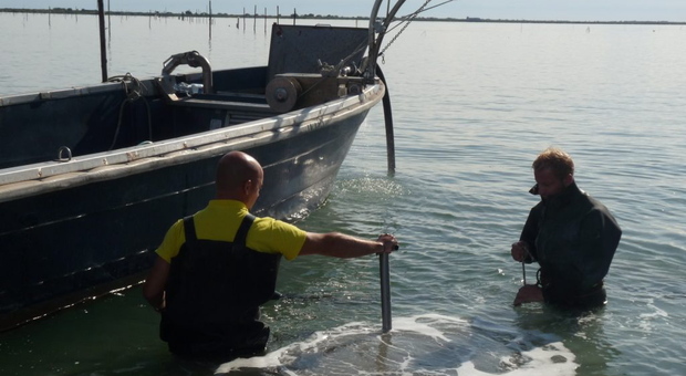 Pesca nel Delta, dopo due anni di "guerra" firmata la pace: la Provincia dà il via libera ai permessi