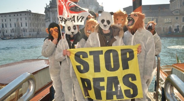 Pfas, attivisti a una manifestazione a Venezia