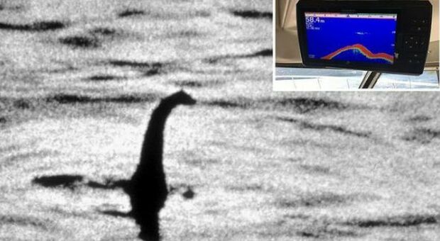 Mostro di Loch Ness avvistato da un sonar. «Lungo tra 2,70 e 4 metri»