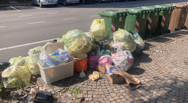 I rifiuti lungo la strada a Villanova di Pordenone