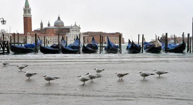 Unesco avverte Venezia: «Risolva i problemi o non sarà Patrimonio»