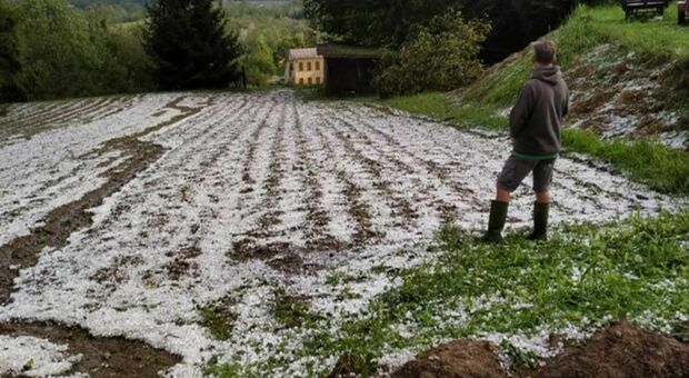 Belluno, danni da maltempo: per gli agricoltori in arrivo 500mila euro di indennizzi entro la fine di gennaio