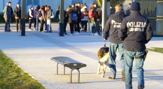 Controlli della polizia con i cani nelle scuole