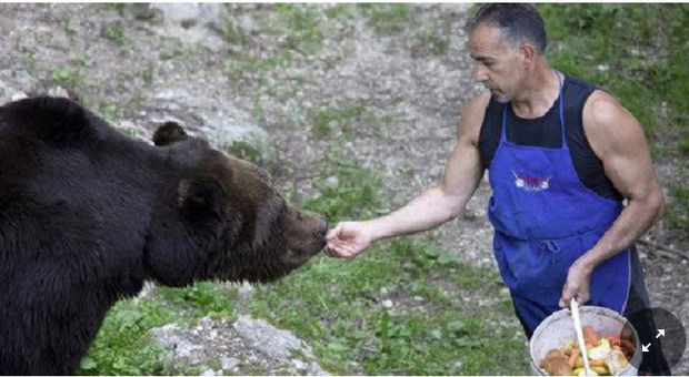 Omicidio del custode dell'orso di San Romedio: arrestato boscaiolo