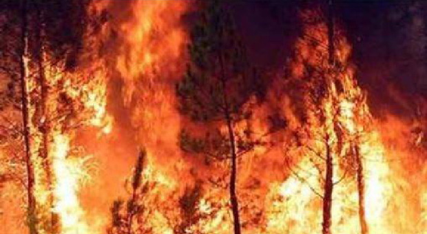 Veneto, incendi di boschi, la Protezione civile: «Grave pericolo in 4 province»