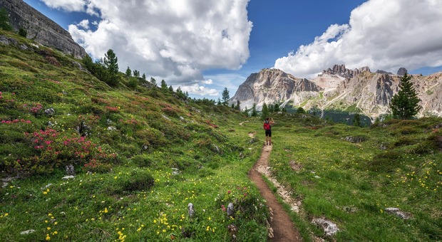 Turismo, il Trentino Alto Adige in vetta alla classifica delle regioni con la migliore reputazione, bene anche il Veneto (Foto di Ales Krivec da Pixabay)