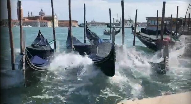 Esplode la guerra delle gondole a Venezia