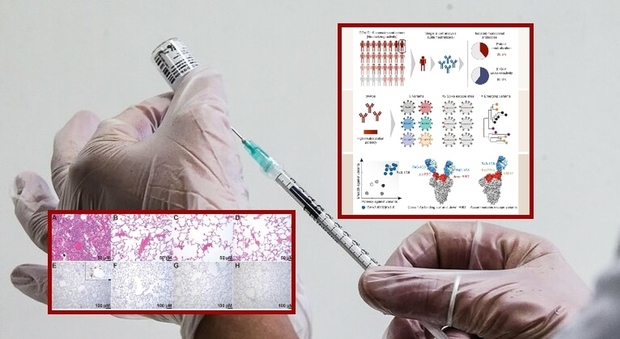 Omicron, Sars e i virus del futuro: gli scienziati ora danno la caccia al super vaccino contro le pandemia