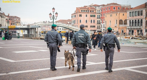 Venezia, 45enne beccato in centro storico con 2 chili di marijuana e hashish: incastrato dal cane Depp dell'unità cinofila