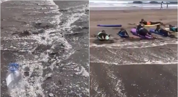 Tenerife, spiaggia invasa dalla plastica: la disperazione degli attivisti