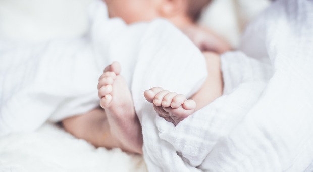 Neonata registrata come figlia di due madri - Foto di Pexels da Pixabay