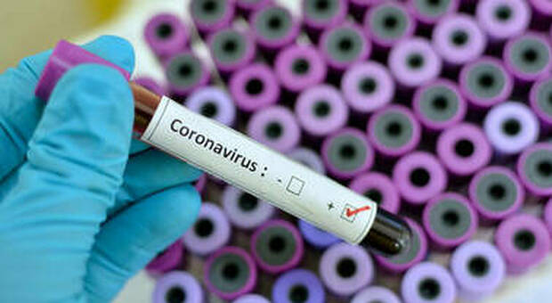 Coronavirus, i contagi oggi in Alto Adige: 4 morti e 547 nuovi infetti