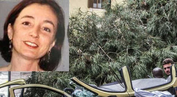 Cristina Alongi uccisa dal crollo di un pino a Napoli, un milioni di risarcimento ai parenti