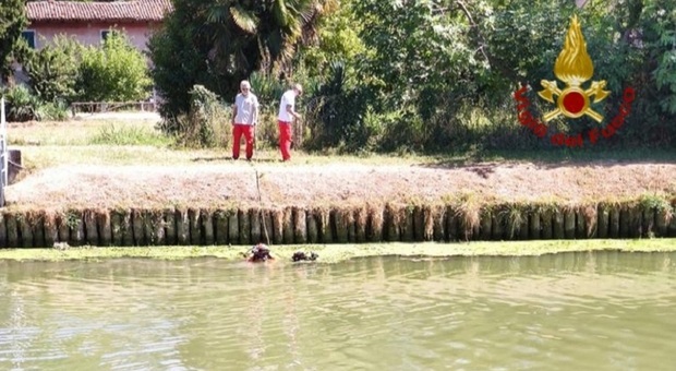 55enne disperso nelle acque del Naviglio Brenta, trovato un corpo in acqua tra la vegetazione: «Potrebbe essere lui»