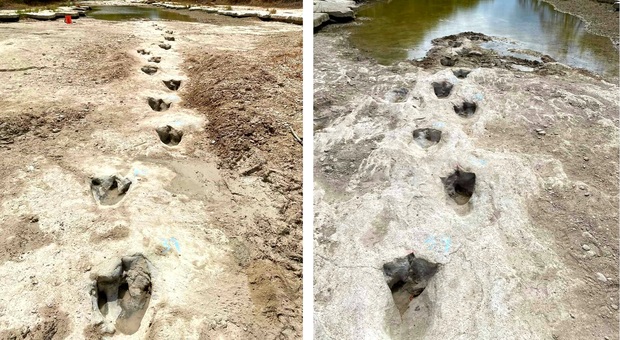 Le impronte del dinosauro incredibilmente conservate (immag diffuse da Dinosaur Valley State Park-Friends sui social)