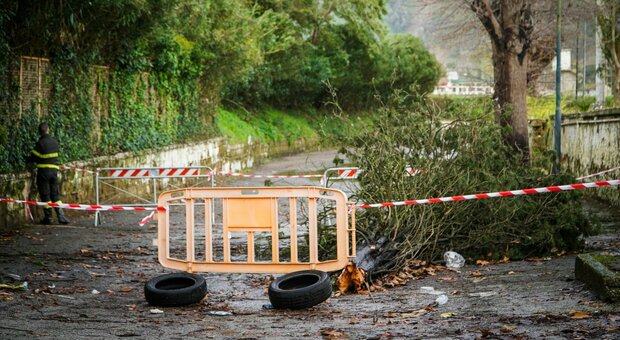 Allerta maltempo: allagamenti e alberi caduti in città. Interrotti i collegamenti ferroviari con Latina e Nettuno
