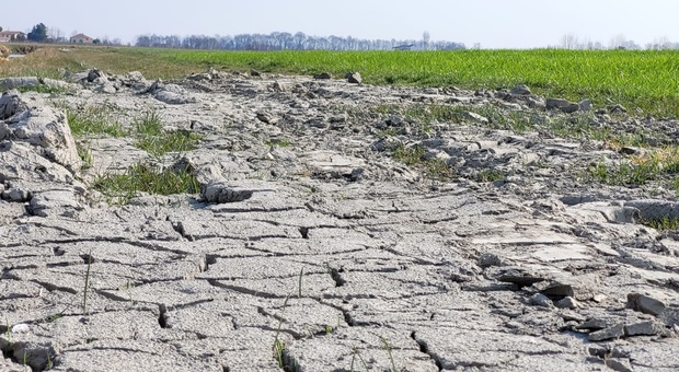 Rovigo, risarcimenti per la siccità