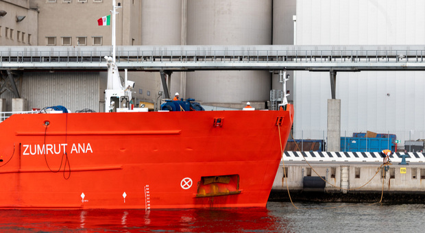 Venezia, è arrivata in porto la nave ucraina con 6.300 tonnellate di olio di semi di girasole